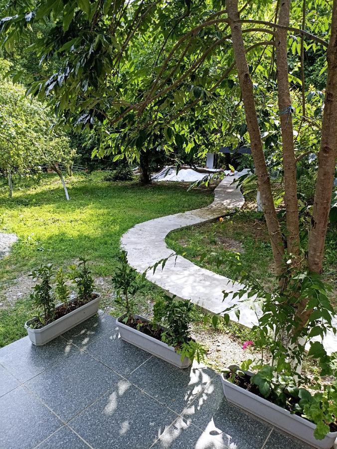 Woodland Paradise Apartment