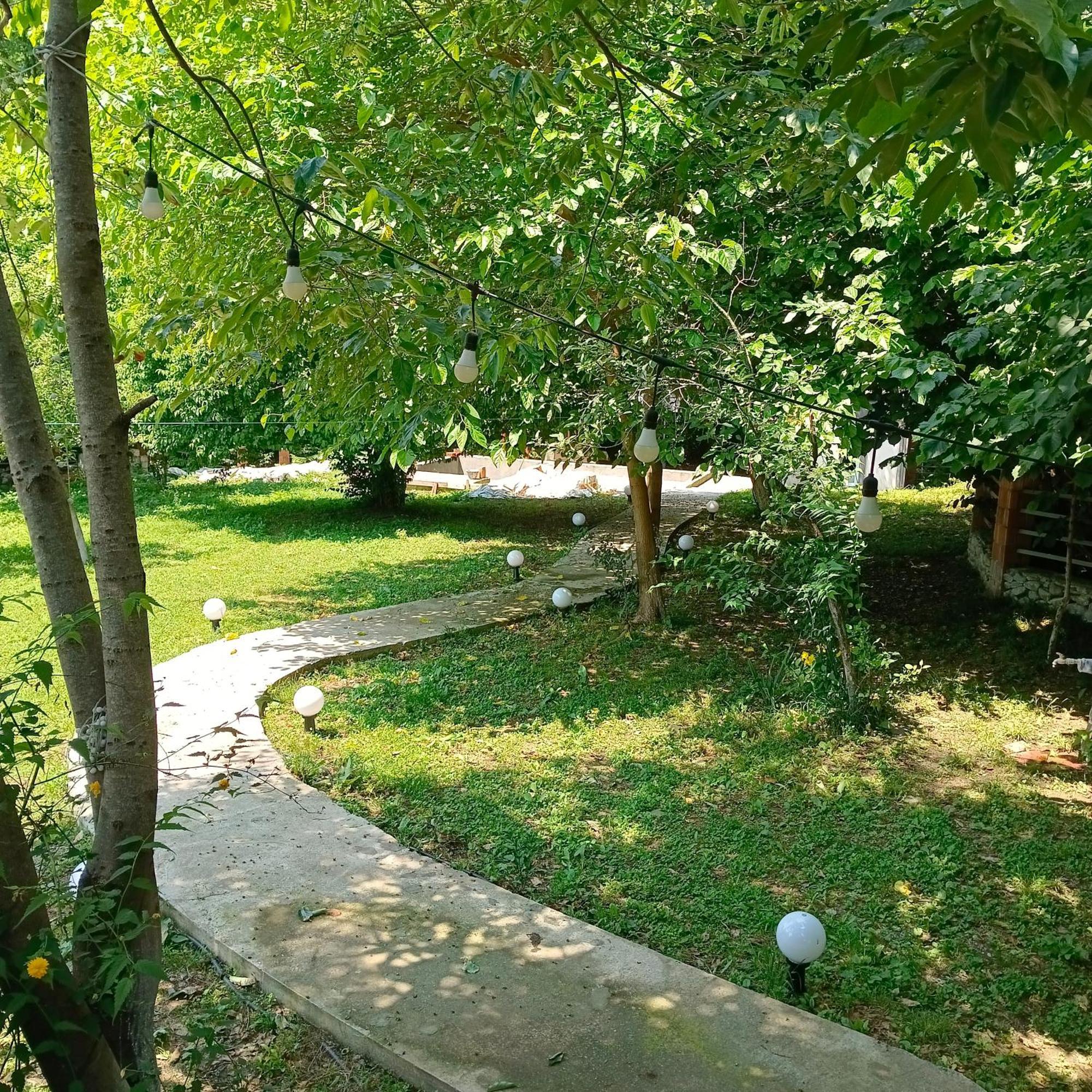 Apartment Woodland Paradise Gabala